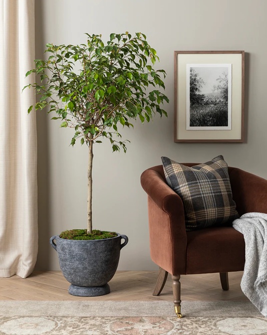 Eldon Lounge Chair – Warm Velvet | Brass Details